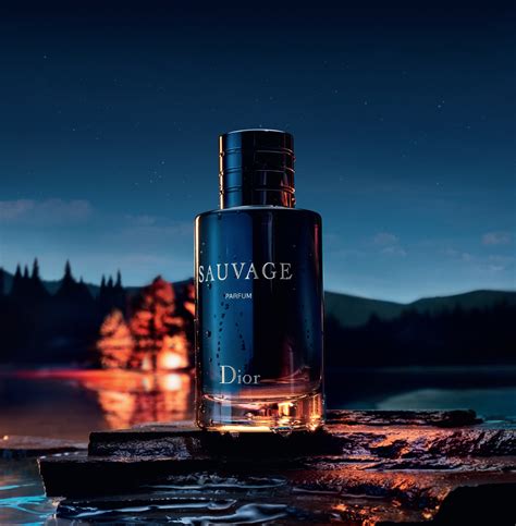 dior sauvage uomo incredienti|sauvage perfume Dior.